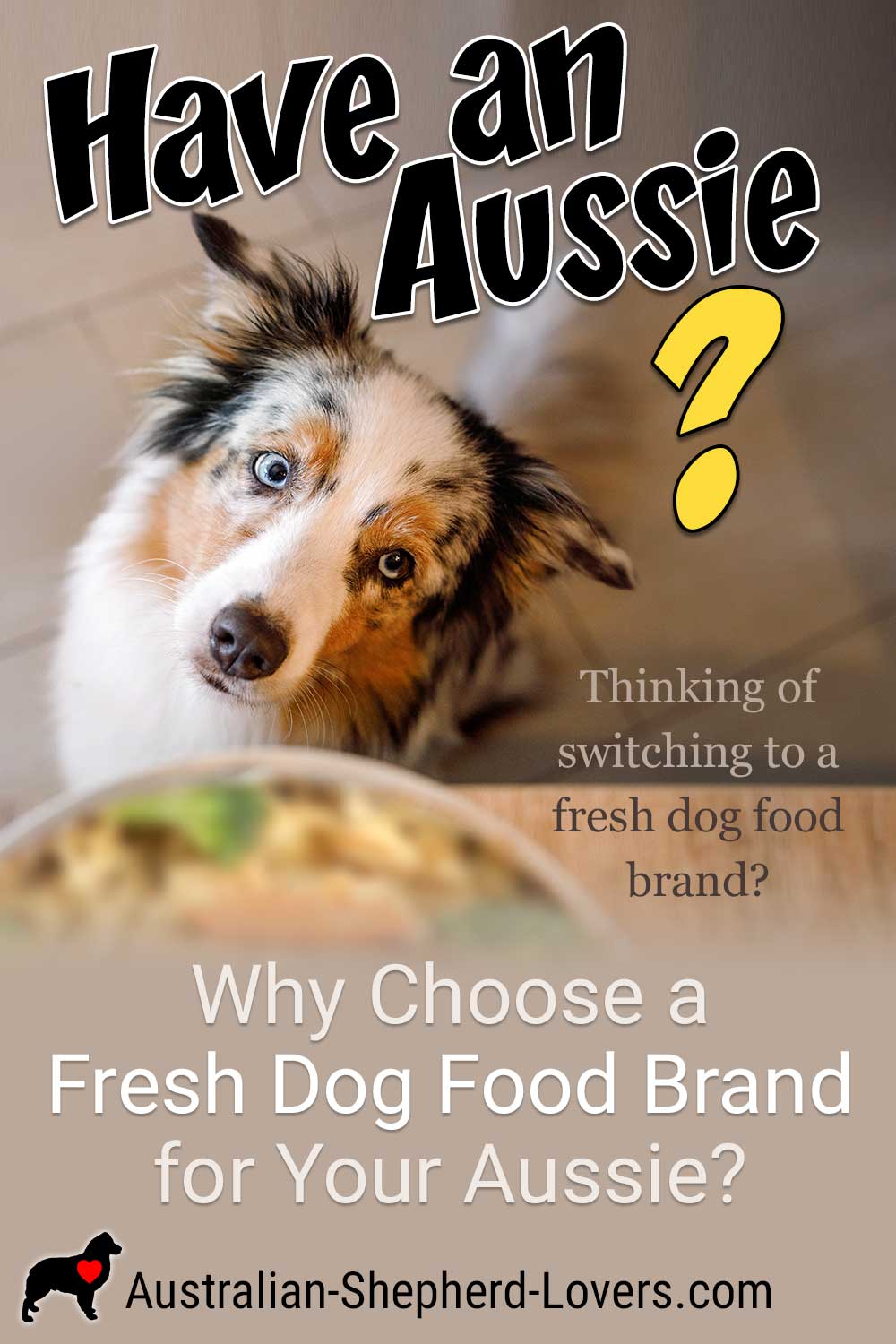 Why Choose a Fresh Dog Food Brand for Your Aussie