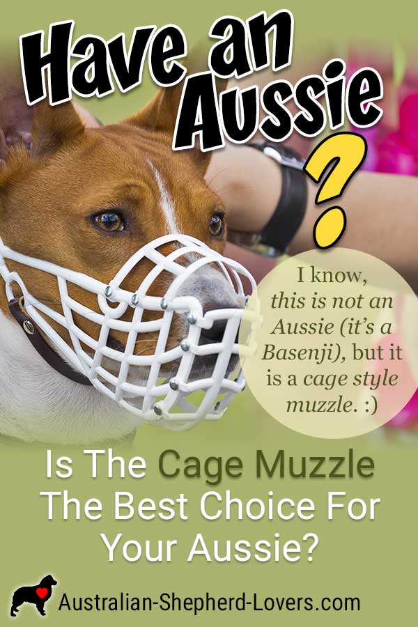 Best muzzle 2025 for australian shepherd