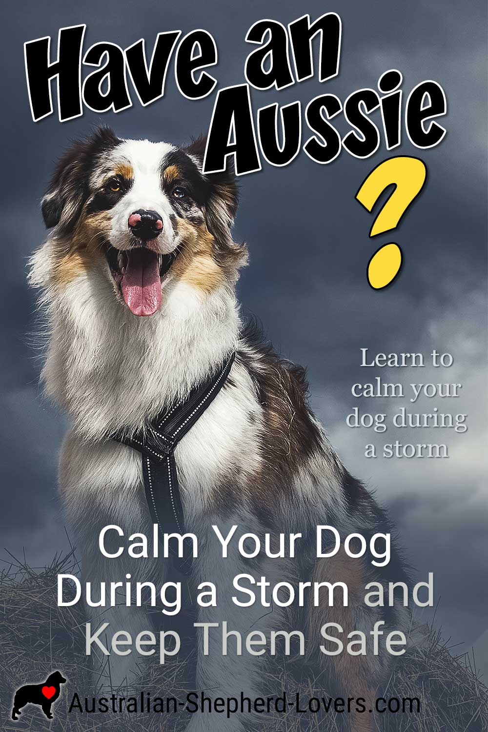 How Do I Calm My Dog During A Storm