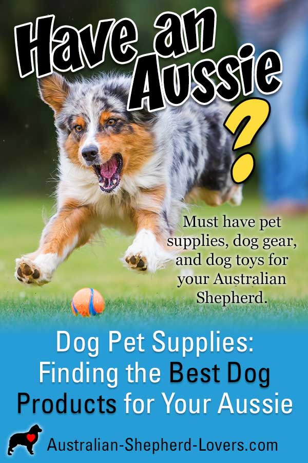 best dog clippers for australian shepherd