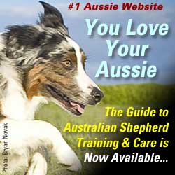 Australian Shepherd Ebook Affiliate Program