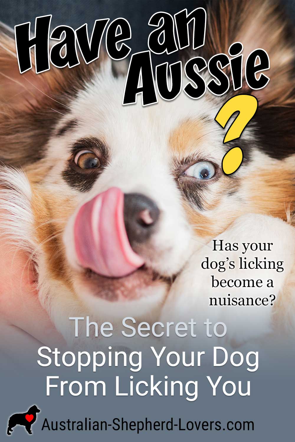 https://www.australian-shepherd-lovers.com/image-files/stop-dog-licking-me-pnt-01.jpg