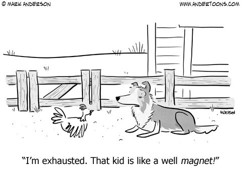 Australian Shepherd Cartoon